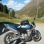 Der Steinbock - 300 Jahre Alte - Tirol