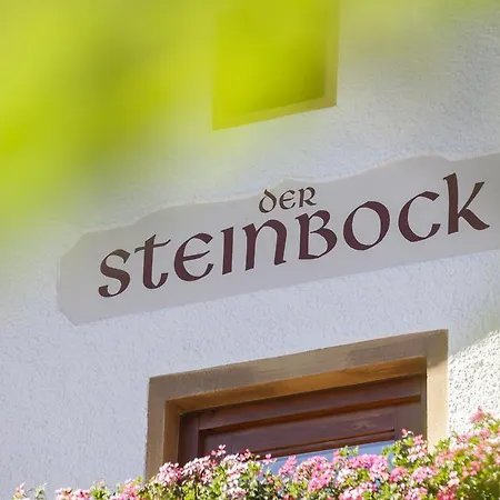 Maison d'hôtes Der Steinbock - 300 Jahre Alte - Tirol Sankt Anton am Arlberg
