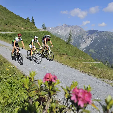 Der Steinbock - 300 Jahre Alte - Tirol Konukevi Sankt Anton am Arlberg