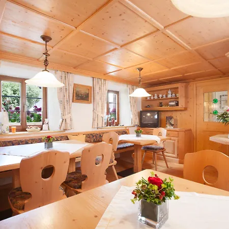 Der Steinbock - 300 Jahre Alte - Tirol 2*