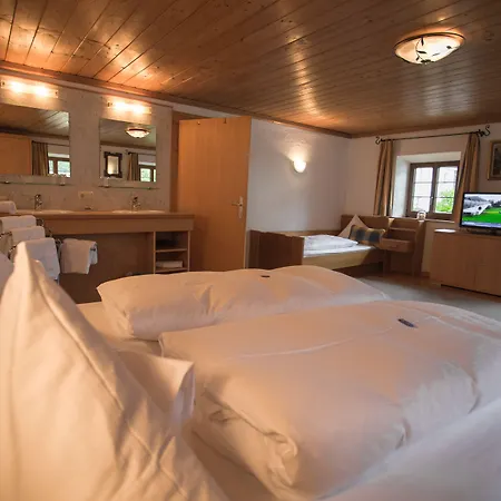 Der Steinbock - 300 Jahre Alte - Tirol