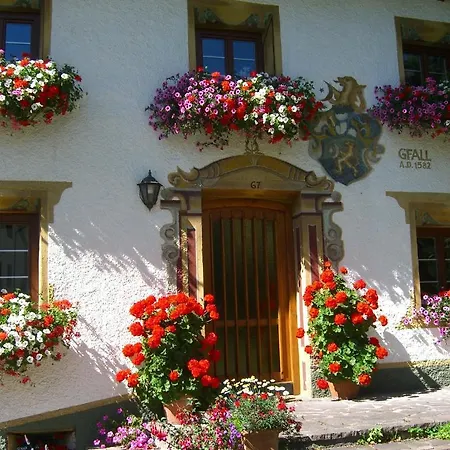 Der Steinbock - 300 Jahre Alte - Tirol 2*