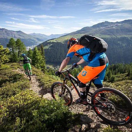 Der Steinbock - 300 Jahre Alte - Tirol Konukevi