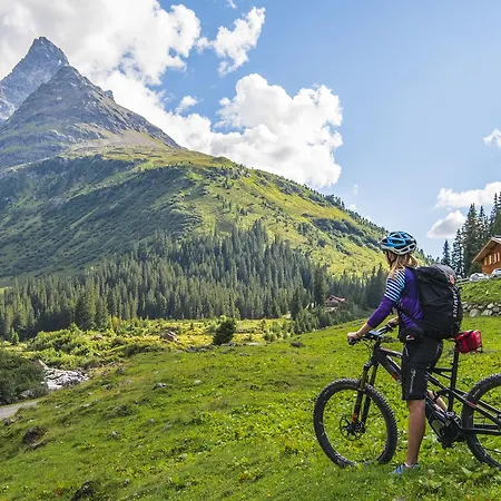 Der Steinbock - 300 Jahre Alte - Tirol