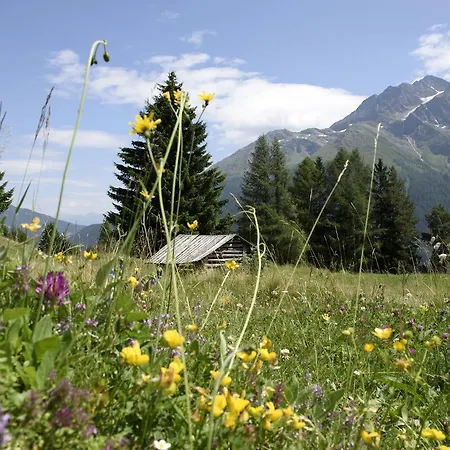 Konukevi Der Steinbock - 300 Jahre Alte - Tirol 2*