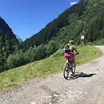 Der Steinbock - 300 Jahre Alte - Tirol Guest house Sankt Anton am Arlberg