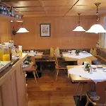 Der Steinbock - 300 Jahre Alte - Tirol