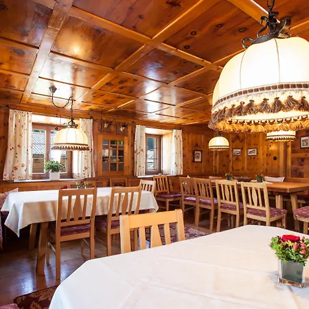 Der Steinbock - 300 Jahre Alte - Tirol