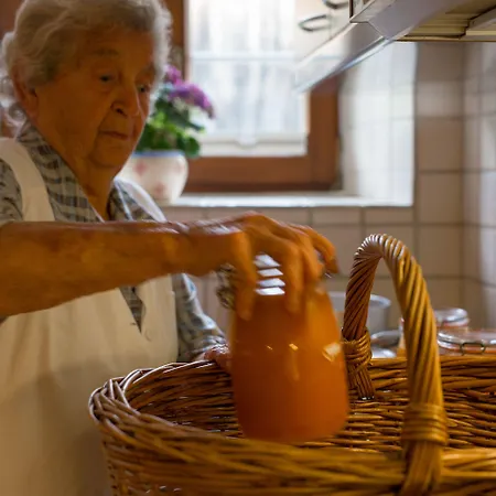Der Steinbock - 300 Jahre Alte - Tirol Sankt Anton am Arlberg