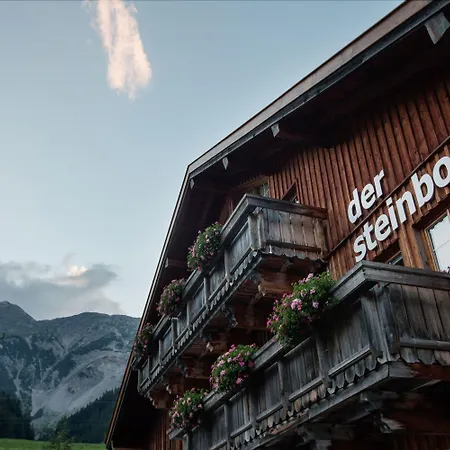 Πανσιόν Der Steinbock - 300 Jahre Alte - Tirol
