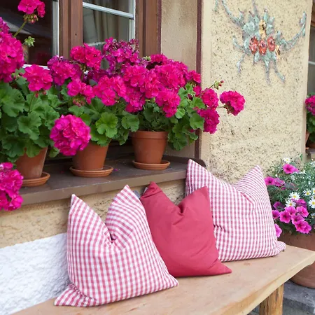 Guest house Der Steinbock - 300 Jahre Alte - Tirol