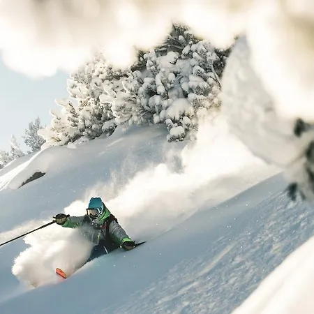Der Steinbock - 300 Jahre Alte - Tirol Sankt Anton am Arlberg