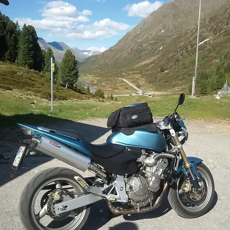 Der Steinbock - 300 Jahre Alte - Tirol